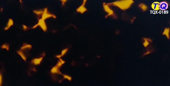 TQX-0189