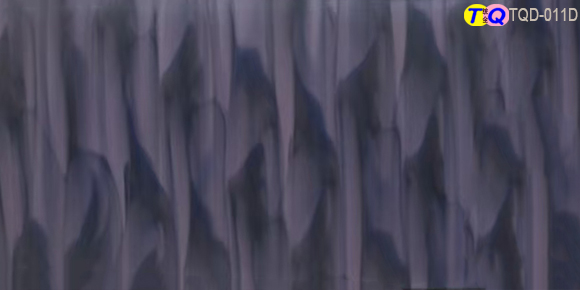 TQD-011D